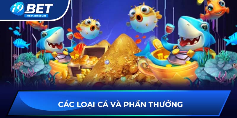 Các loại cá và phần thưởng