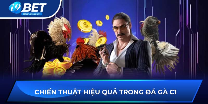 Chiến thuật hiệu quả trong đá gà C1