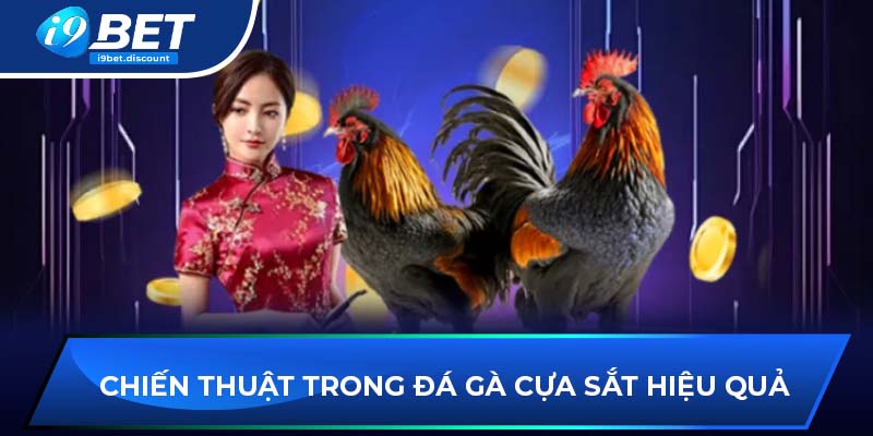 Chiến thuật trong đá gà cựa sắt hiệu quả