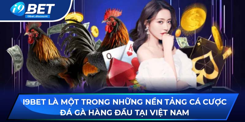 i9BET là một trong những nền tảng cá cược đá gà hàng đầu tại Việt Nam