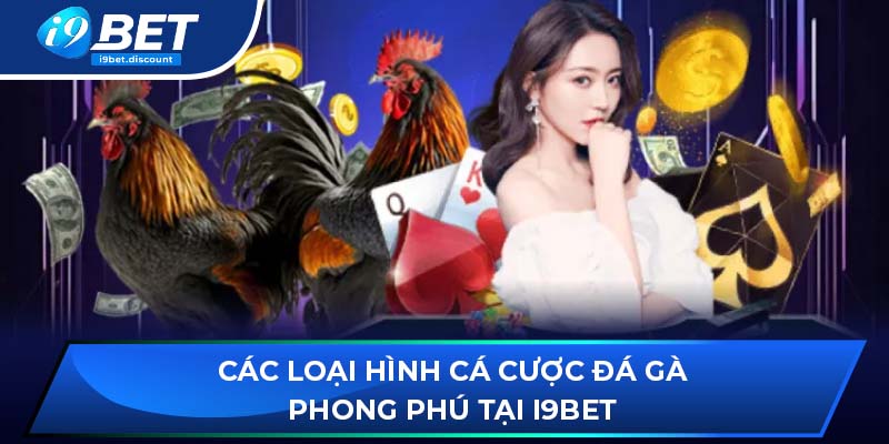 Các loại hình cá cược đá gà phong phú tại i9BET