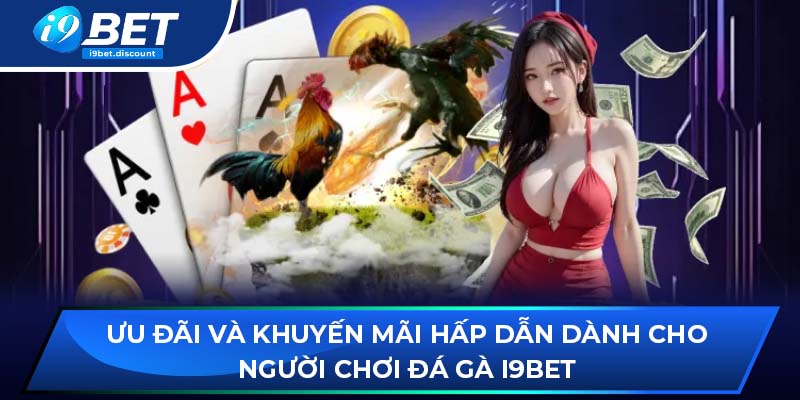 Ưu đãi và khuyến mãi hấp dẫn dành cho người chơi đá gà i9BET